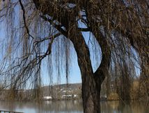 Les Bords de Seine.. Ca sent le printemps !!