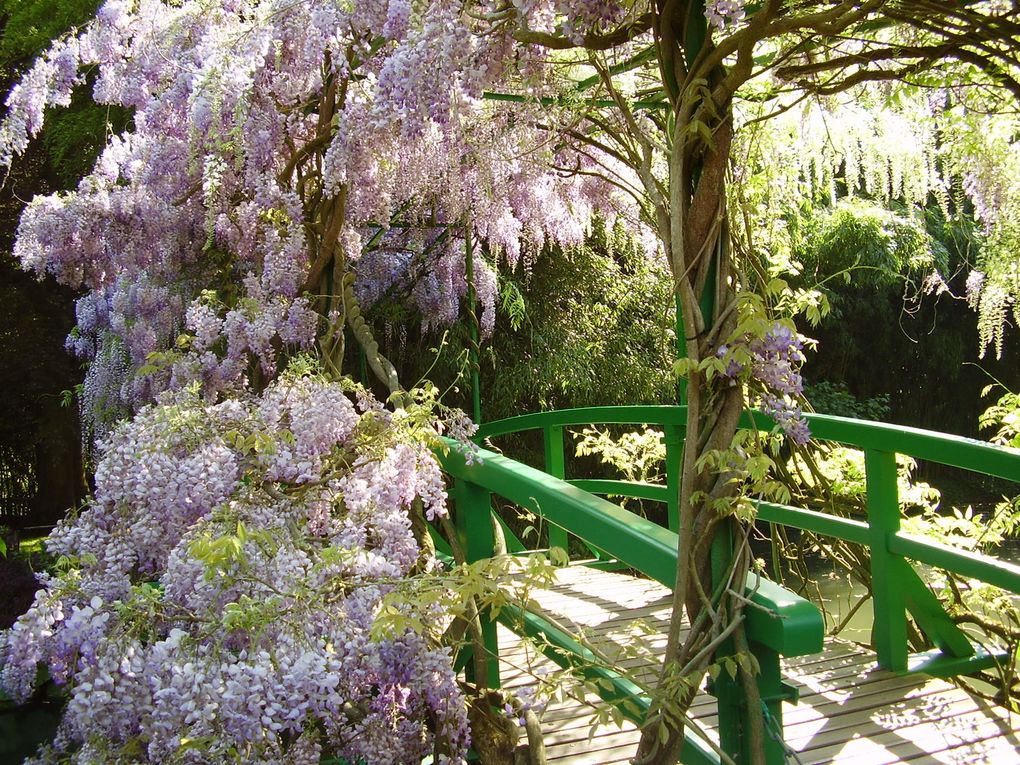 Album - Giverny-2009