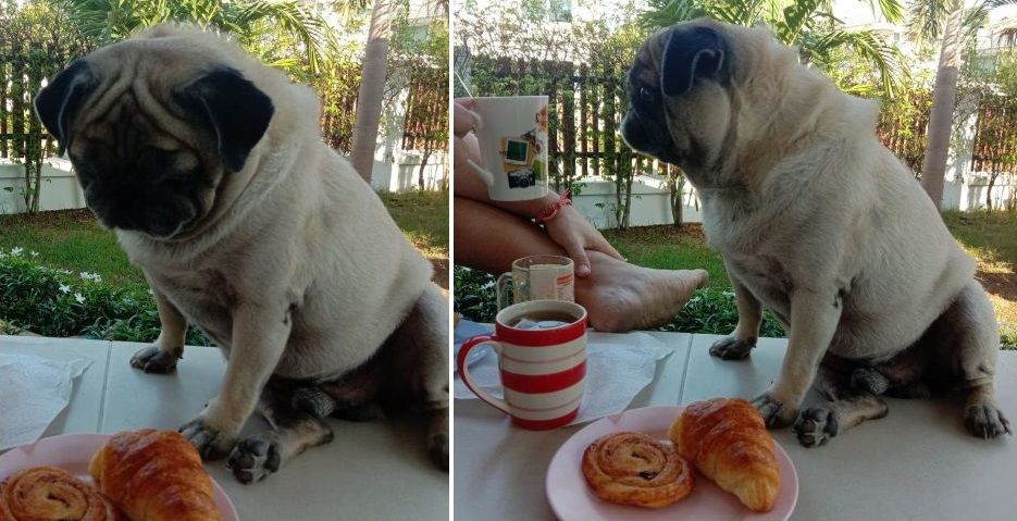 Aeng au petit-déjeuner...