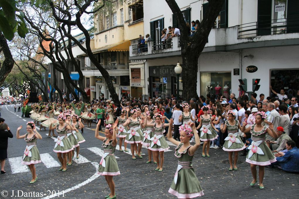 Madere-Funchal,c'est dans cette ville capitale de l'isle que se realise tous les ans la fete de la fleur,cette année c'etait du 5 au 8 Mai et j'y etait,voici quelques images