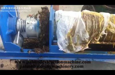 Small palm oil extraction machine,mini palm oil press machine for sale