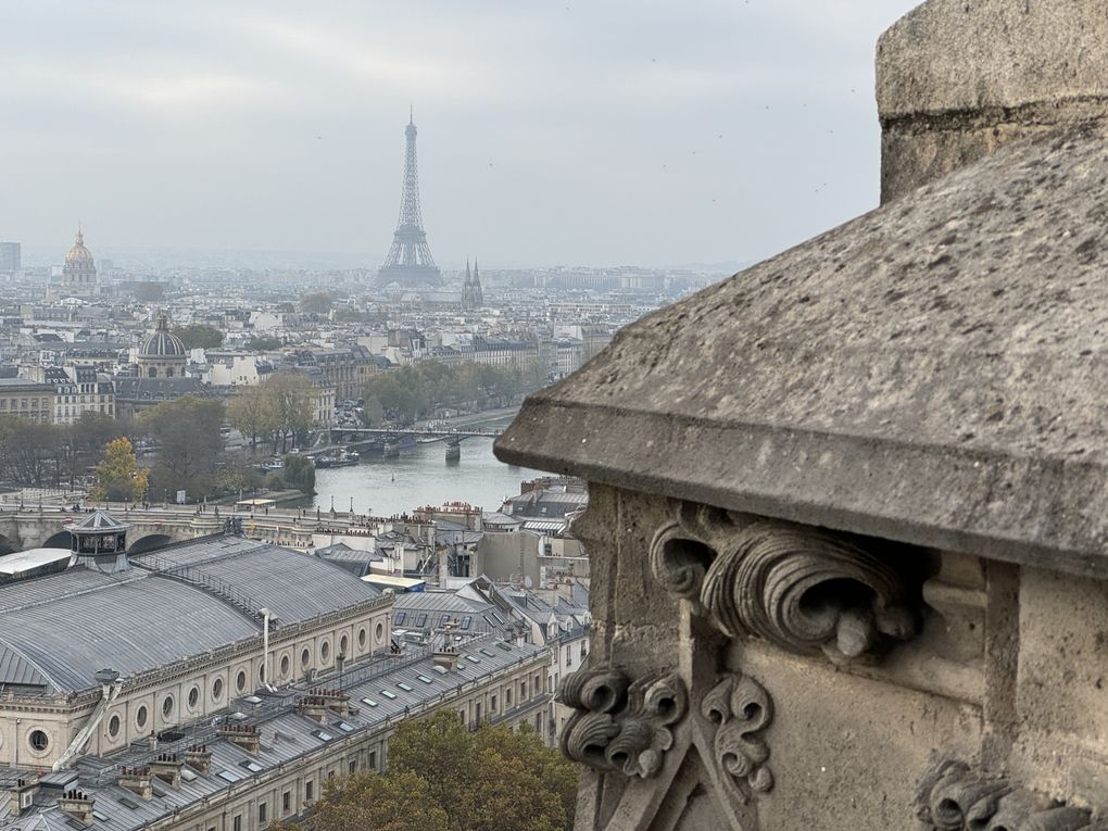 Visite de la Tour Saint-Jacques à Paris
