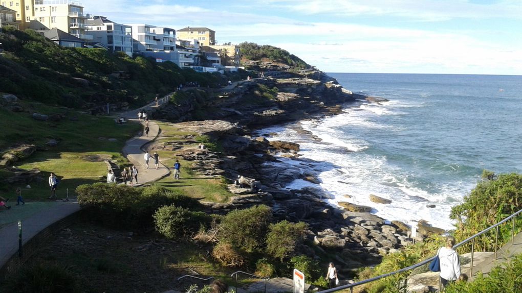 Puis c'est parti pour une ballade sympa de Coogee Beach à Bondi Beach