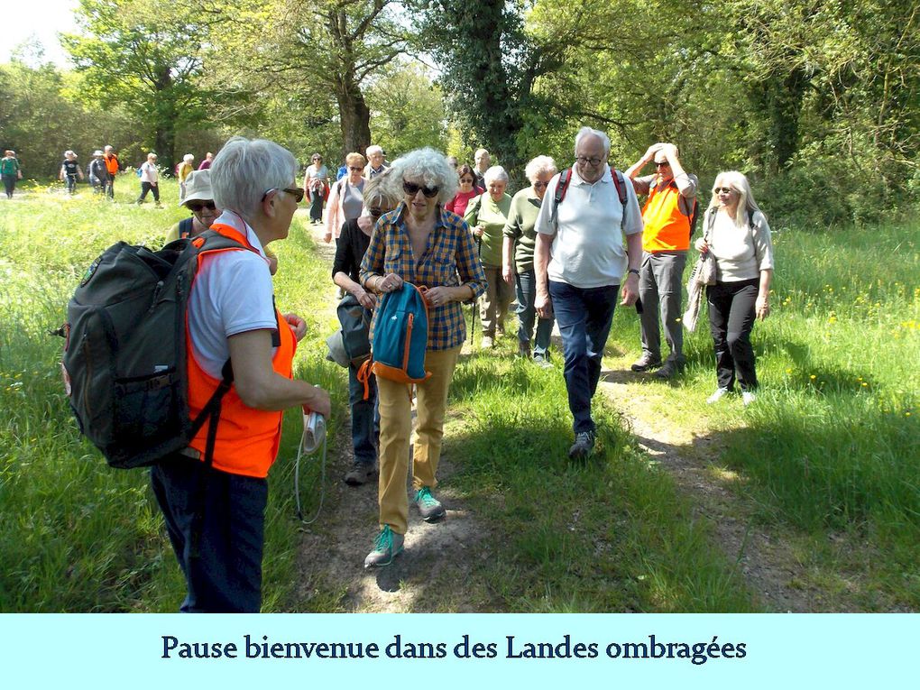 Les 8 km à La Chapelle-Heulin