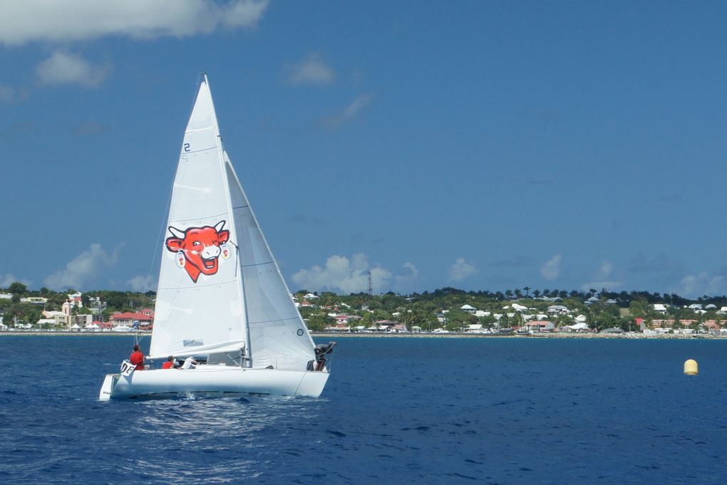 Album - Trophee-Open-Voile-de-St-Francois-2011-3