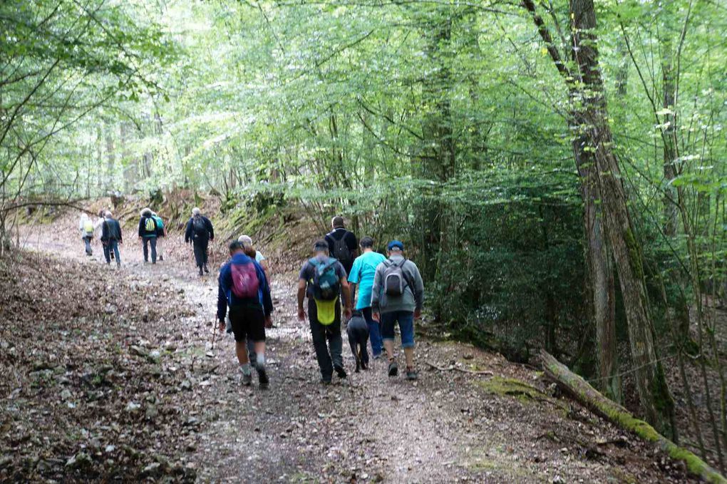 Une trouvaille lors de cette marche, du bruit dans un tas de bois. C'est quoi ? Un chaton ! Une chance pour cet animal ce jour là, il va être adopté par notre ami Jean-Pierre. Depuis nous avons appris son nom : Rustine et elle va bien.