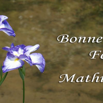 BONNE FETE AUX MATHIEU-MATTHIEU