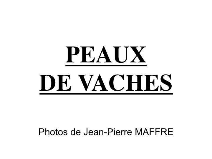 Nos Blanchettes et autres Pâquerettes méritent qu’on s’attarde sur les motifs qui ornent leur peau.