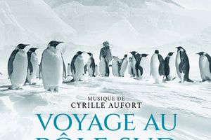 Cyrille Aufort : Monuments migrateurs (Du film Voyage au pôle sud)