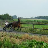 Dimanche 08 Juillet 2018 : Marche à Hurionville