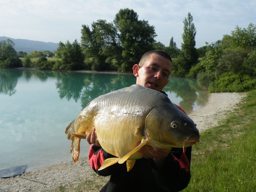 dans cet album vous trouverez toutes nos prise de carpes et de silures