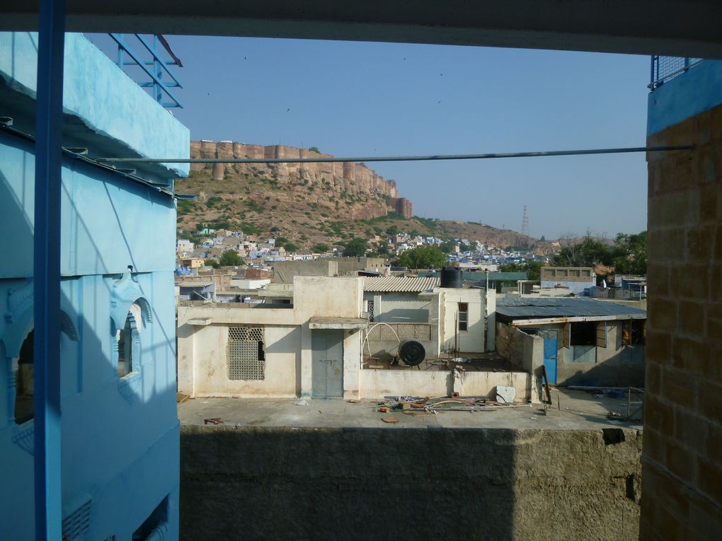 Album - Jodhpur, la Ville bleue