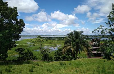 Iquitos & excursion en Amazonie