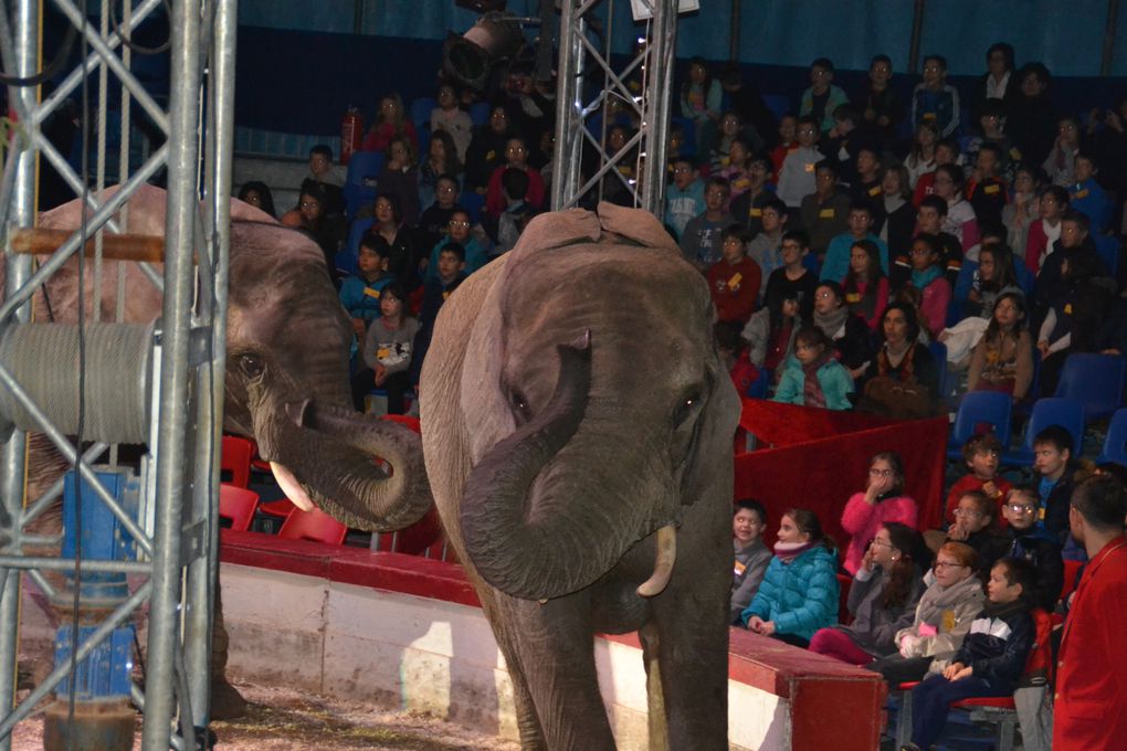 Cirque Medrano le 05/12/2014 à Nantes