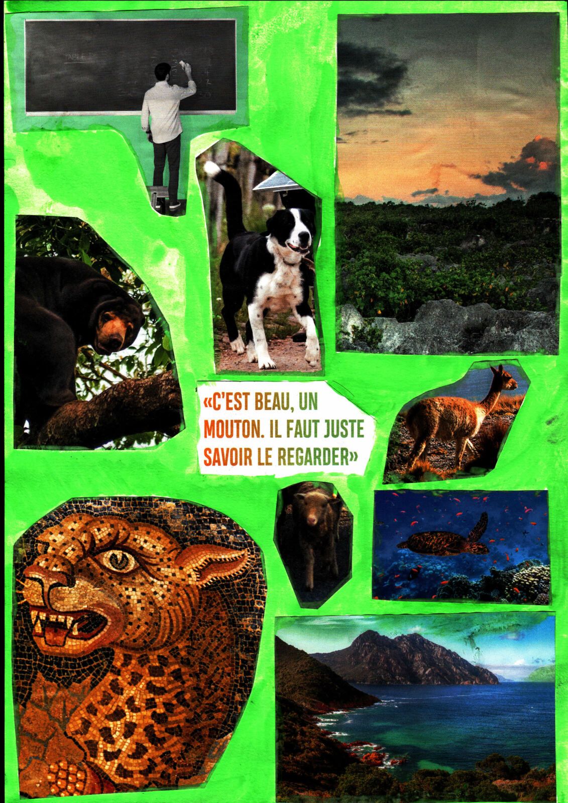 Collage 4