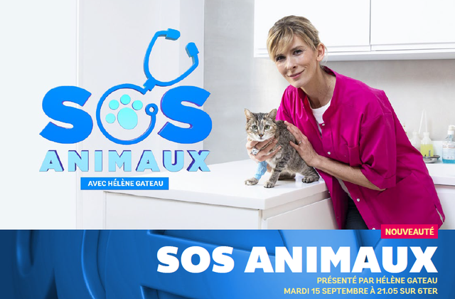 SOS Animaux avec Hélène Gateau dès ce mardi soir sur 6ter.