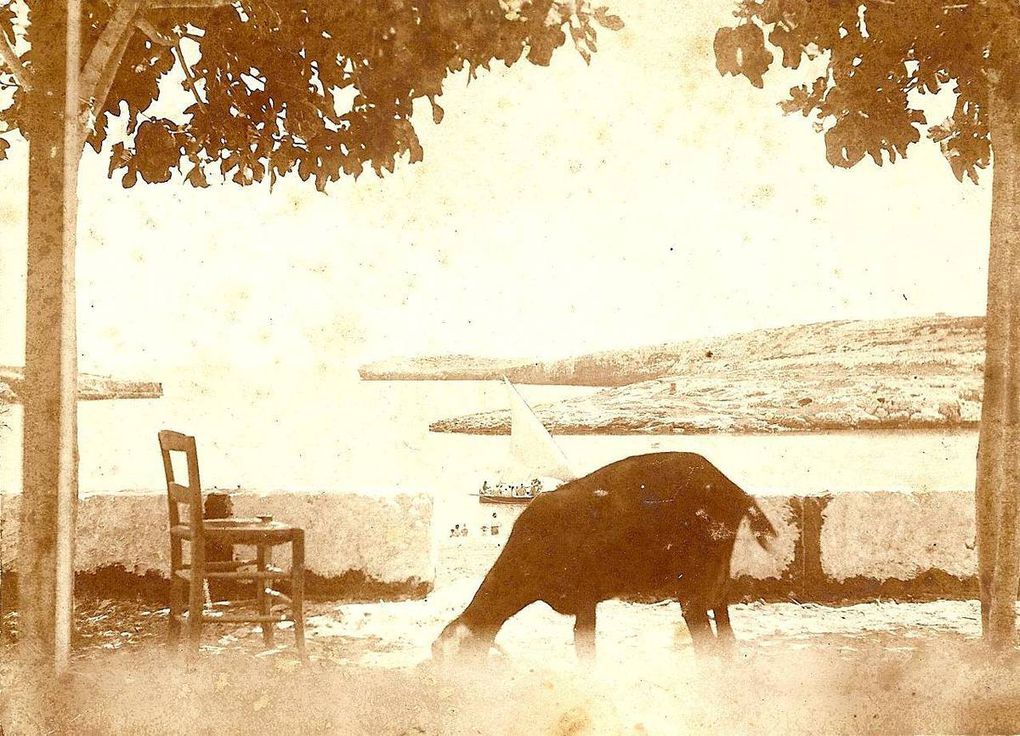 Porto Cristo, fotos antiguas, algunas de Joan Riera Bordoi