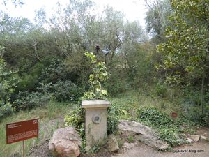 Jardin antique méditerranéen