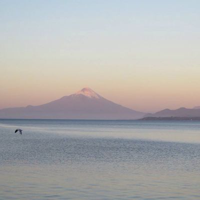Douceurs du Sud chilien 