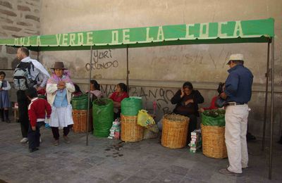 La Coca, la feuille sacrée des Andes
