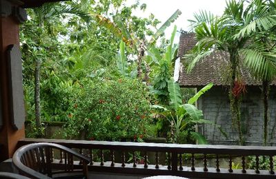 Des rizières de Bali aux îles Gili