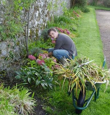 CGT, branche Irlandaise