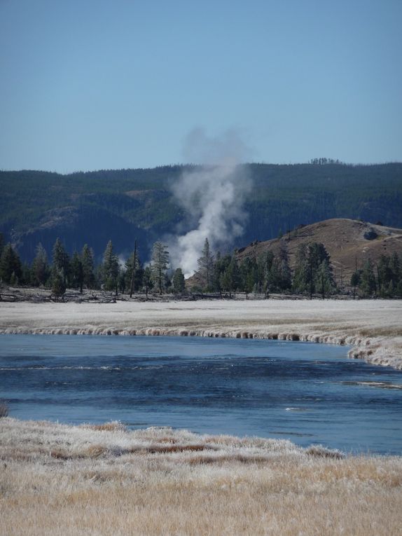 Album - 15.Yellowstone (Wyoming-octobre)