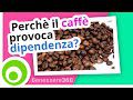 Il tè bancha. Poca caffeina per molti benefici