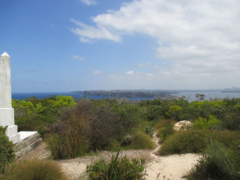 ouahhhhhhh  .... à couper le souffle !!!! voici la baie de Sydney ! (en vrai ça rend bien mieux !! dsl)