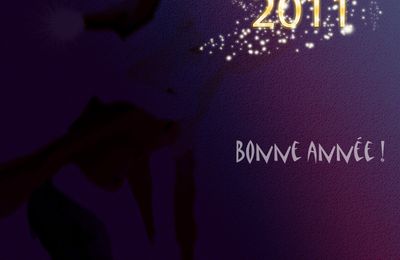 Bonne année !!