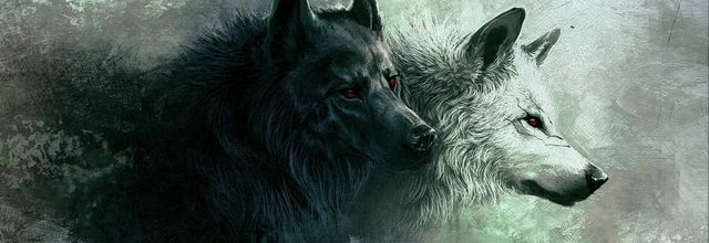 La légende du loup blanc et du loup noir