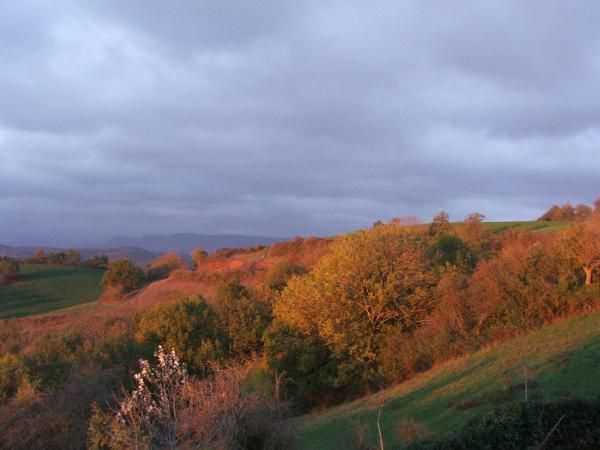 <em><strong>PHOTOS DE COURTILLES, GISSAC ET ENVIRONS DE ST AFFRIQUE</strong></em>