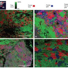 High-Resolution Global Maps of 21st-Century Forest Cover Change