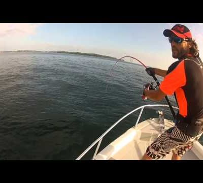 Salsa Fishing A Las Perlas