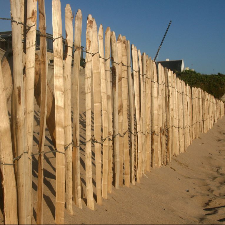 Album - Dunes et Plages