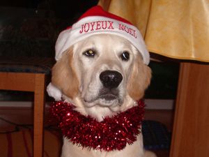 Joyeux Noel !