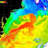 Le courant réchauffé par le Gulf Stream pourrait s'arrêter temporairement