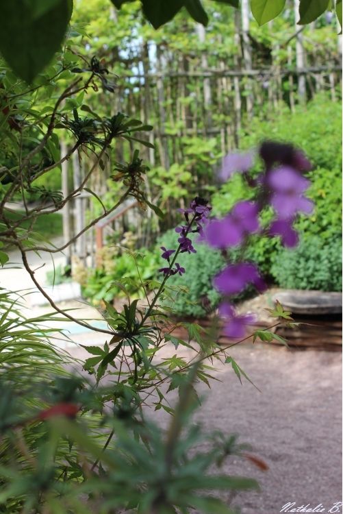 25ème Festival International des Jardins sur le thème « Jardins du siècle à venir » 