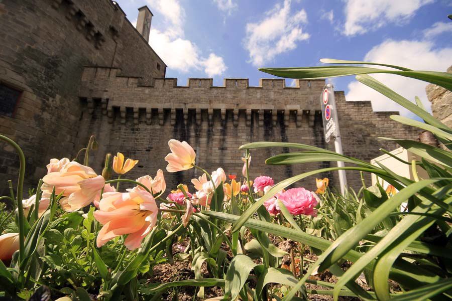 Les remparts de la ville de Guérande au printemps