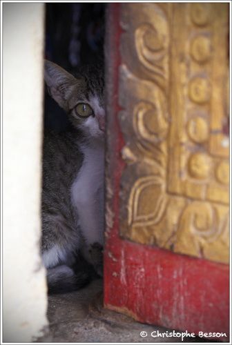 Photographies du Laos