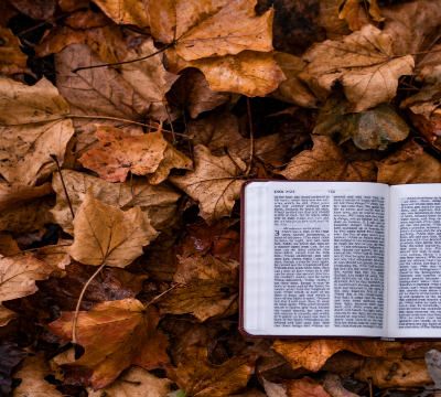 Estudios biblicos cristianos: Beneficios extraordinarios de estudiar la Biblia