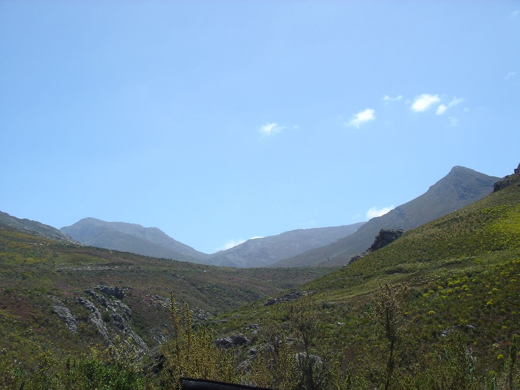 Album - La région de Cape Town