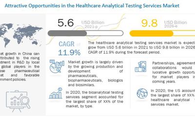 Healthcare Analytical Testing Services Market Competitive Intelligence