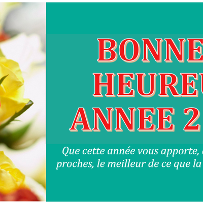 Bonne Année 2013 !