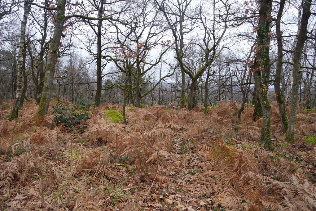 Montmirault.rando du 15/02/2022