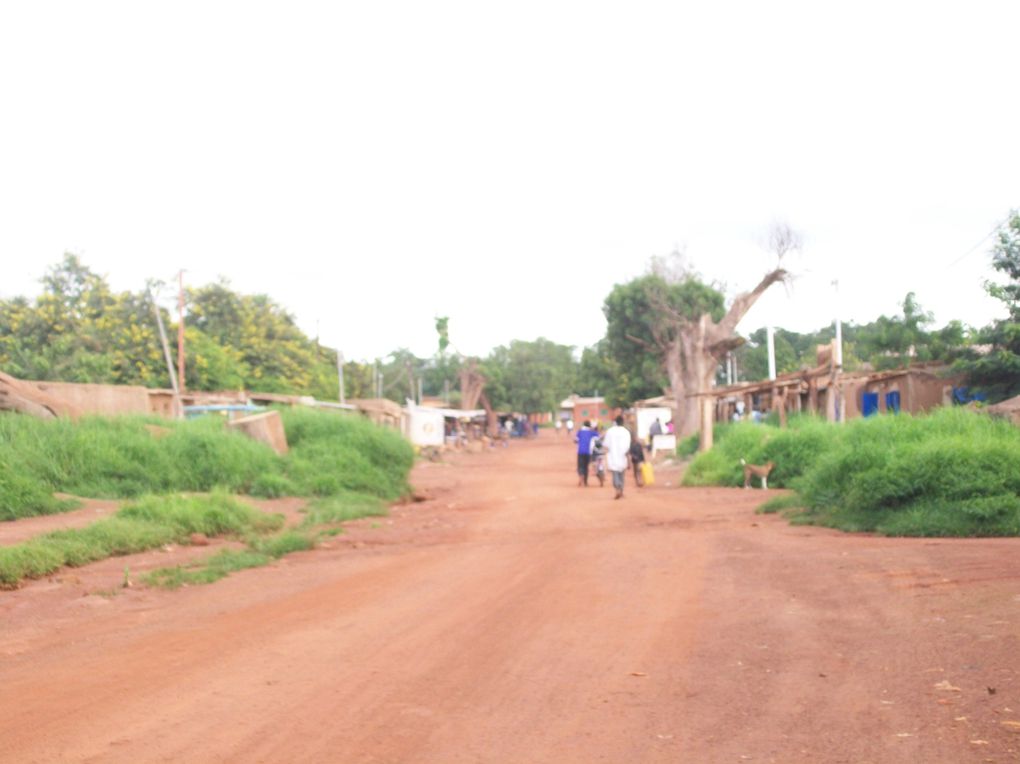 Découverte de la région de l'Est, tout près des frontières nigérienne et béninoise et presque au coeur des parc de l'Arly et du W...