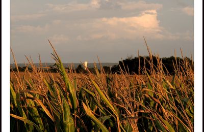 Paysage romantique du soir.Chatillon sur Indre.36