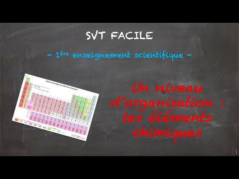 Un niveau d'organisation : les éléments chimiques