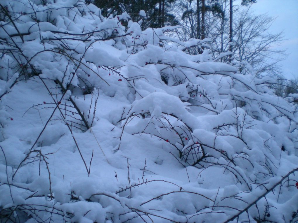 les photos un peu partout où je me ballade, de la vue de ma chambre à des paysages plus lointain ...