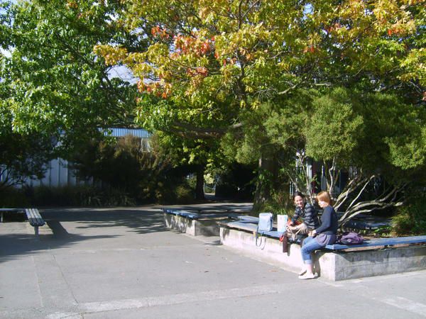 Album - Burnside-High-School